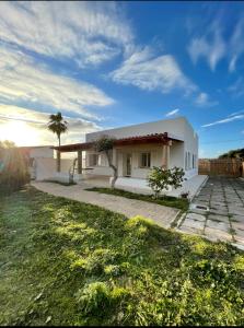 a white house with a palm tree in a field at Villa Nido dei Passeri in Calasetta +49 photos
