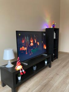 Televízia a/alebo spoločenská miestnosť v ubytovaní Apartament Górski