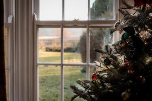 a christmas tree in front of a window at Gallows Hill in Scarborough