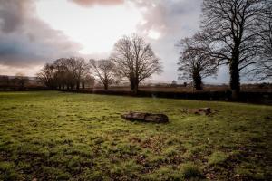 a grassy field with trees in the background at Gallows Hill in Scarborough