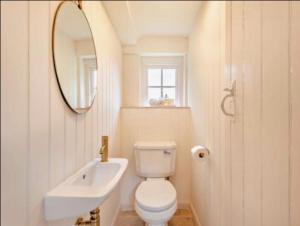 Oak Tree Cottage في Lincolnshire: حمام مع مرحاض ومغسلة ومرآة