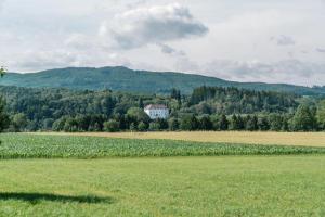 Príroda v okolí dovolenkového domu