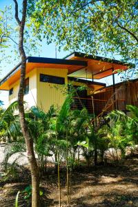 a small house in the middle of a forest at Casas del Bosque Nosara in Nosara