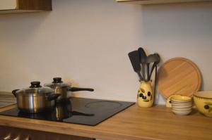 a kitchen counter with a stove with pots and pans at Gemütliche Ferienwohnung - Prein an der Rax in Prein an der Rax