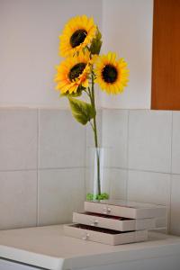 Fotografija v galeriji nastanitve Apartman Dunja v mestu Kraljevo