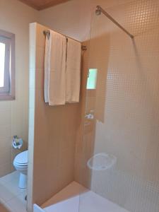 a bathroom with a glass shower with a toilet at Quinta dos Curubas in Vila Franca do Campo +39 photos