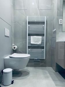 a bathroom with a toilet and a towel rack at Alexander library apartment in Košice +25 photos