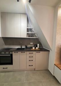 Nhà bếp/bếp nhỏ tại Apartman Kala Divčibare