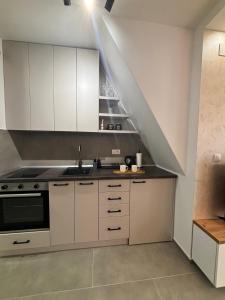 Nhà bếp/bếp nhỏ tại Apartman Kala Divčibare