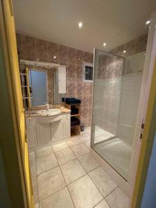 a bathroom with a shower and a sink at Demeure de Charme de la Gravière in Mably +38 photos