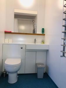 a bathroom with a white toilet and a sink at Afan Forest Bunkhouse-Converted Chapel Sleeps 30 in Glyncorrwg