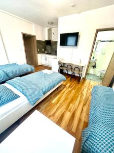 Μια τηλεόραση ή/και κέντρο ψυχαγωγίας στο Pension Hirsch