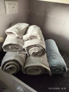 a pile of towels sitting on top of a washing machine at Il Tulipano in Chieri