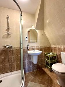 a bathroom with a sink and a toilet and a shower at Kwatery Prywatne-Willa "Nadzieja" in Świeradów-Zdrój
