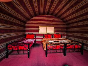 Billede fra billedgalleriet på Wadi rum Local guide camp i Wadi Rum + 34 billeder