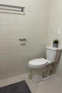 a bathroom with a toilet with a plant on the wall at Casa Arena - 4 Pax, 5 min de la playa, con parking in Las Galeras +24 photos