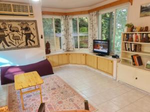 salon z telewizorem i oknami w obiekcie המקום של אמי Emmys Place w mieście ‘En Ha‘Emeq