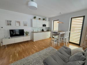 TV a/nebo společenská místnost v ubytování Apartmán Rotterovka -Ski Resort Herlíkovice & Bubákov