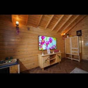 a room with a flat screen tv on a wooden wall at Lovely Wooden Cottage KPHB Phase 15 in Hyderabad