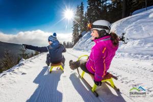 Fotografie z fotogalerie ubytování Resort Aurum Residence B v Černém Dole