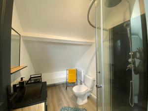 a bathroom with a toilet and a glass shower at Le Logis de la Forêt in Le Poinçonnet