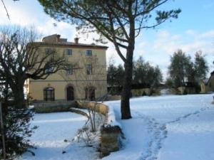 a house with a tree and a snow covered yard at Terre di Nano in Monticchiello