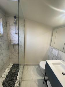a bathroom with a shower and a toilet and a sink at Appartement proche PARIS in Clamart
