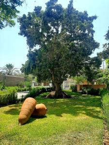 Κήπος έξω από το Casa Montemira