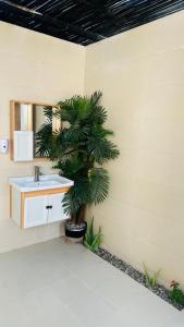 a bathroom with a palm tree next to a sink at Dream Desert Camp in Qābil +24 photos
