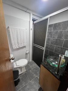 a bathroom with a toilet and a sink and a shower at Cabaña Las Flores en Guatapé in El Peñol