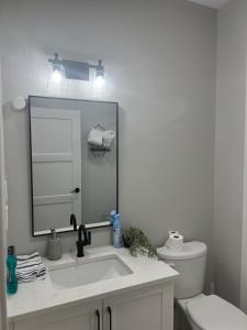 a bathroom with a sink and a mirror and a toilet at Zee's Homestay in Crosby Island
