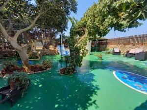 Una piscina con agua verde con un árbol. en Case Pescatori Villette, en Lampedusa