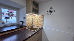 Kuchyň nebo kuchyňský kout v ubytování Apartmán Dako + 3 fotografie