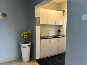 a kitchen with a sink and a toilet with a plant at Kareber Solo in Gulu