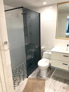 a bathroom with a shower and a toilet and a sink at Appartement neuf en plein cœur de Philipsburg in Philipsburg