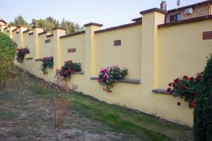 Vonkajšia záhrada v ubytovaní Kondics Apartmanház