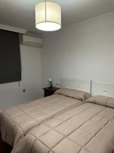 Postel nebo postele na pokoji v ubytování Apartamentos Maria