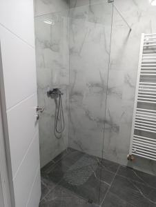 a bathroom with a shower with a glass door at Stan na dan Brcko -The Gold Nook in Brčko
