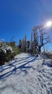 Gallery image of Norchuk Homestay in Jālāpahār
