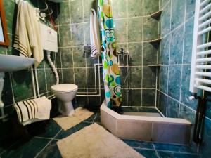 Ένα μπάνιο στο Andrica Sokak +36 φωτογραφίες