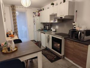 Kuchyň nebo kuchyňský kout v ubytování Chambre cosy à Villeurbanne