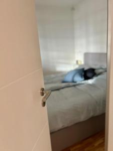 Katil atau katil-katil dalam bilik di Wohnung Nordwind - Meerblick & private Sauna