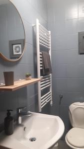 a bathroom with a sink and a mirror and a toilet at Apartment Bianca Mljet mit Meerblick in Okuklje