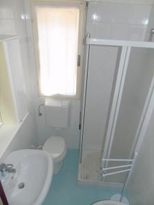 リニャーノ・サッビアドーロにあるCondominio Nazioniのバスルーム(シャワー、トイレ、シンク付)