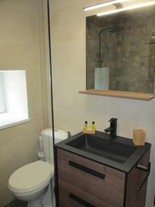 ein Bad mit einem schwarzen Waschbecken und einem WC in der Unterkunft Appartement tout confort 7 personnes à Porté-Puymorens in Porté-Puymorens + 30 Fotos