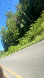 Afbeelding uit fotogalerij van Stoney Mtn High-duh-way 420&Pets yes in Gatlinburg +23 foto's