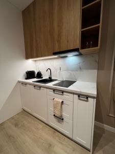 Kuchyň nebo kuchyňský kout v ubytování Kensington Apartaments Poznań - Centrum, Polna, Jeżyce self check-in 24h