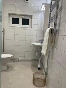 a bathroom with a sink and a toilet at Ruddbecksgatan AA in Eskilstuna