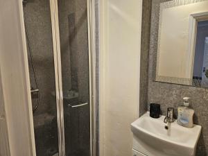 a bathroom with a shower and a sink and a mirror at Light Studio in Tilehurst