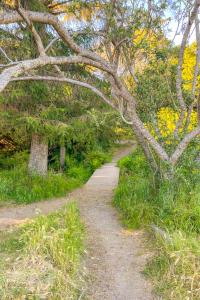 Billede fra billedgalleriet på Bayfront Getaway i Arcata